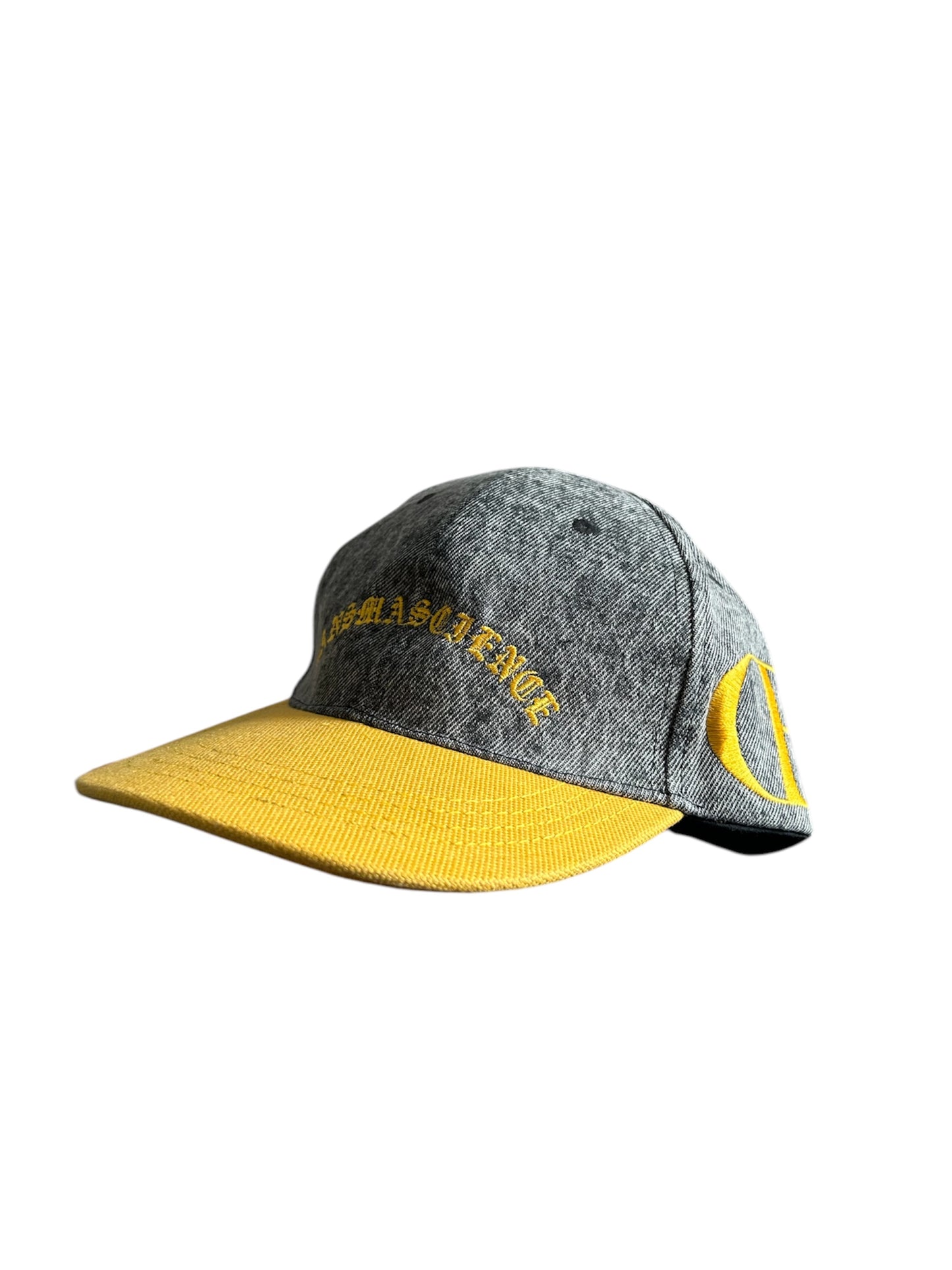 DansMaScience hat